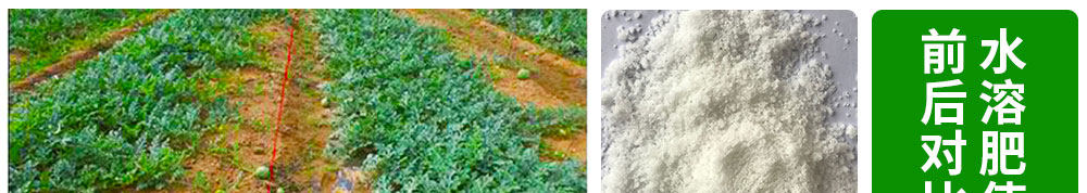 山东先丰达肥业有限公司使用对比图_01.jpg