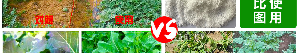 山东先丰达肥业有限公司使用对比图_02.jpg